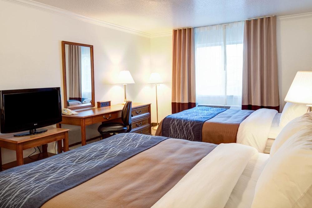Best Western Paradise Hotel Eksteriør bilde